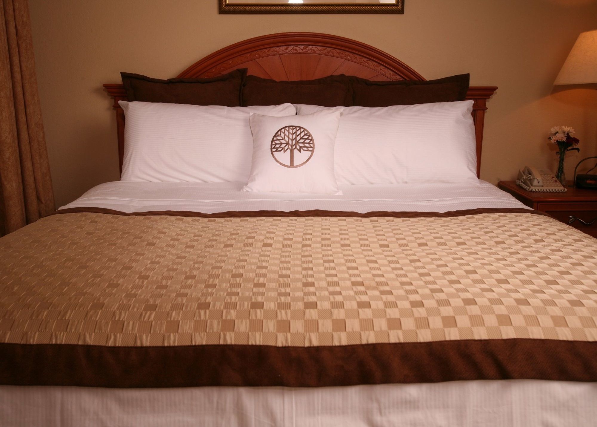 Staysky Suites I-Drive Orlando Near Universal Exteriör bild